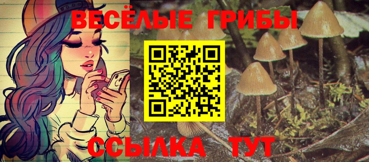 Муравленко  Псилоцибиновые грибы ЛСД  Вход с VPN 