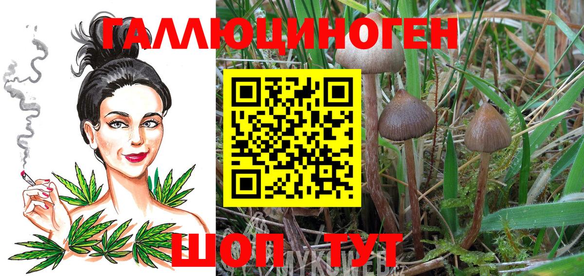 Псилоцибиновые грибы прущие грибы Муравленко